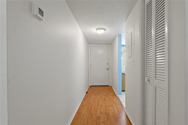 306 Martha Ln Unit 42, Oldsmar, FL 34677 - hallway featuring a textured ceiling, light wood finished floors, and baseboards