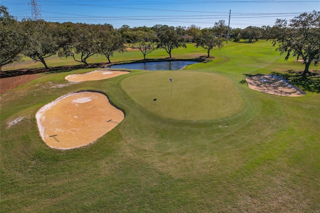 306 Martha Ln Unit 42, Oldsmar, FL 34677 - view of community with view of golf course, a water view, a lawn, and view of scattered trees