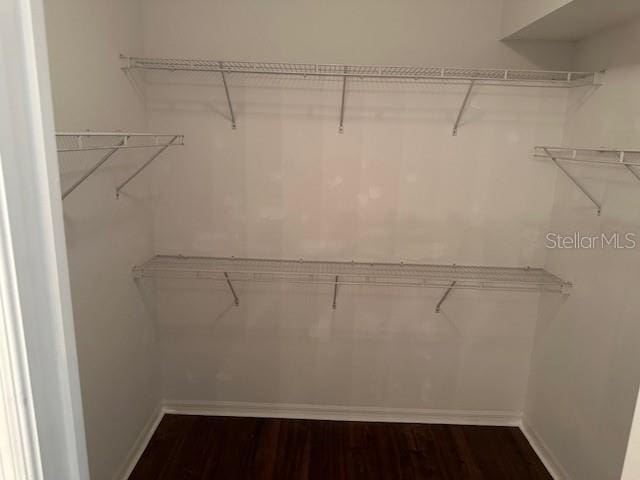 20720 Eustis Rd, Land O Lakes, FL 34637 - spacious closet with dark wood finished floors
