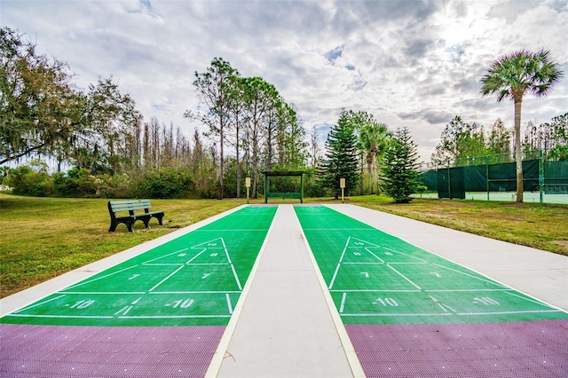 20720 Eustis Rd, Land O Lakes, FL 34637 - view of home's community with shuffleboard