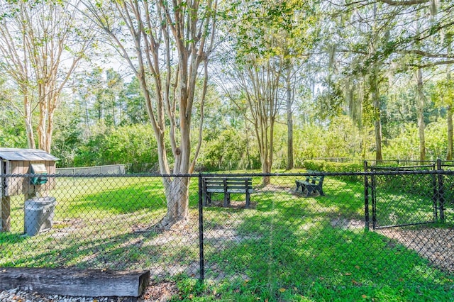 20720 Eustis Rd, Land O Lakes, FL 34637 - view of yard featuring a gate