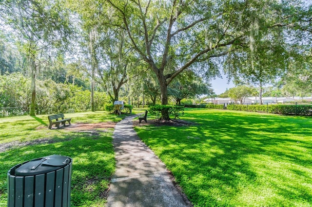 20720 Eustis Rd, Land O Lakes, FL 34637 - view of community featuring a lawn
