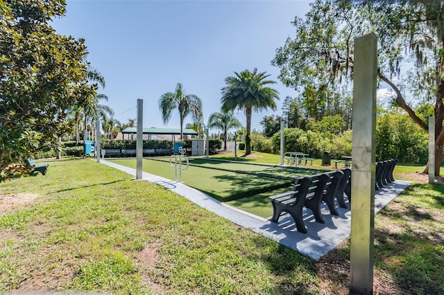 20720 Eustis Rd, Land O Lakes, FL 34637 - surrounding community featuring a bocce ball area and a yard