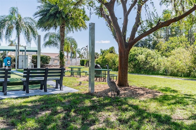 20720 Eustis Rd, Land O Lakes, FL 34637 - view of home's community featuring a yard