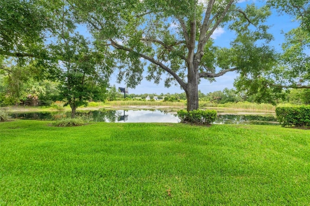 7512 Heather Walk Dr, Weeki Wachee, FL 34613 - view of green lawn featuring a water view