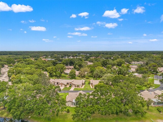 7512 Heather Walk Dr, Weeki Wachee, FL 34613 - aerial view of residential area