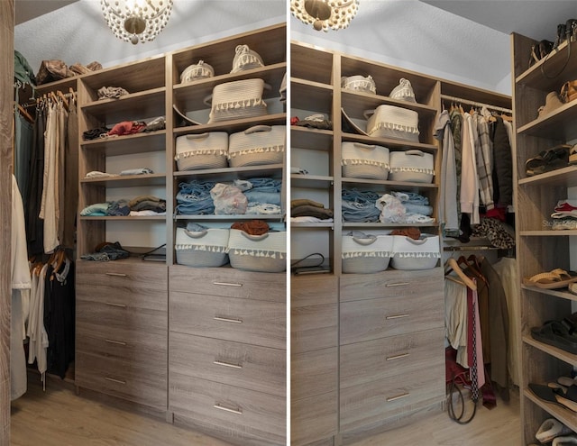 spacious closet with wood finished floors