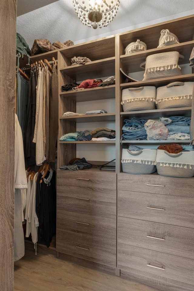 spacious closet featuring wood finished floors