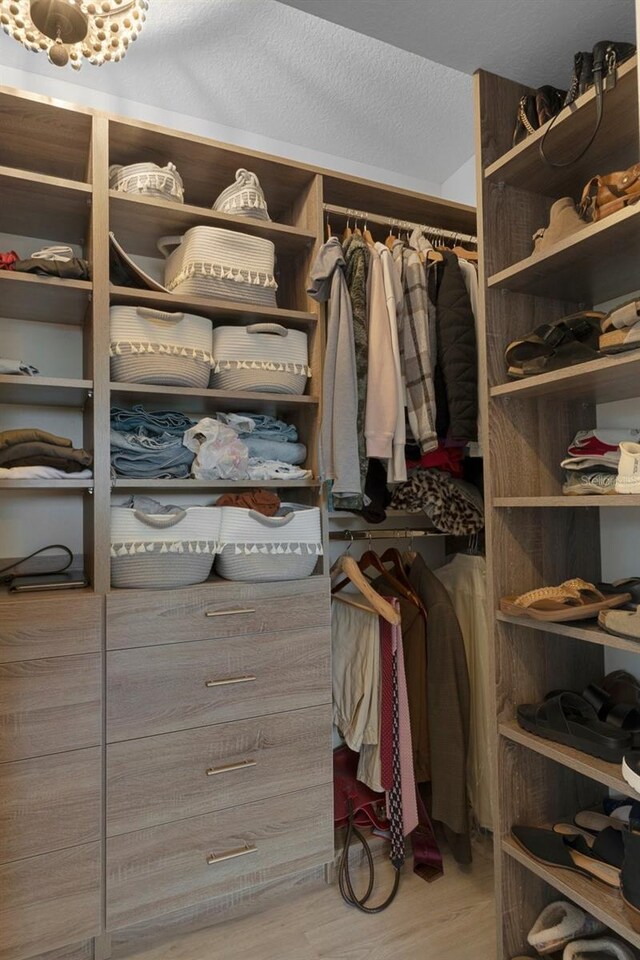 walk in closet with wood finished floors