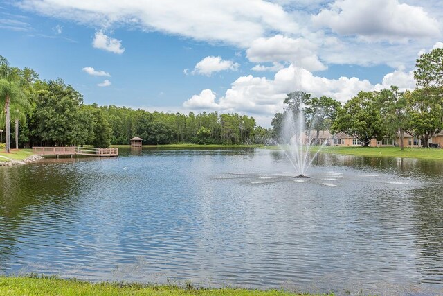 4837 Boonesboro Ct, New Port Richey, FL 34655 - water view