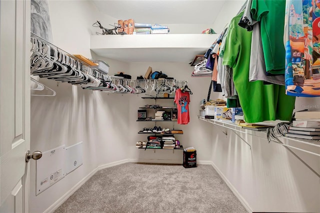 walk in closet with carpet