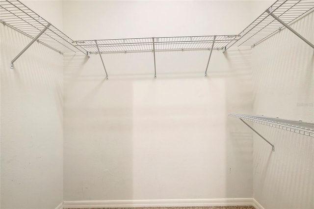 view of walk in closet