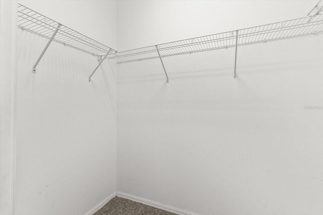 6240 W Glynborne Loop, Crystal River, FL 34429 - walk in closet with carpet flooring