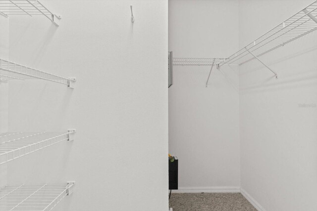 6240 W Glynborne Loop, Crystal River, FL 34429 - walk in closet featuring carpet