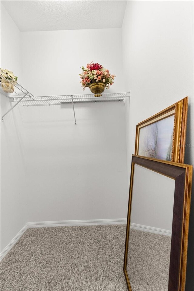 6240 W Glynborne Loop, Crystal River, FL 34429 - walk in closet featuring carpet flooring