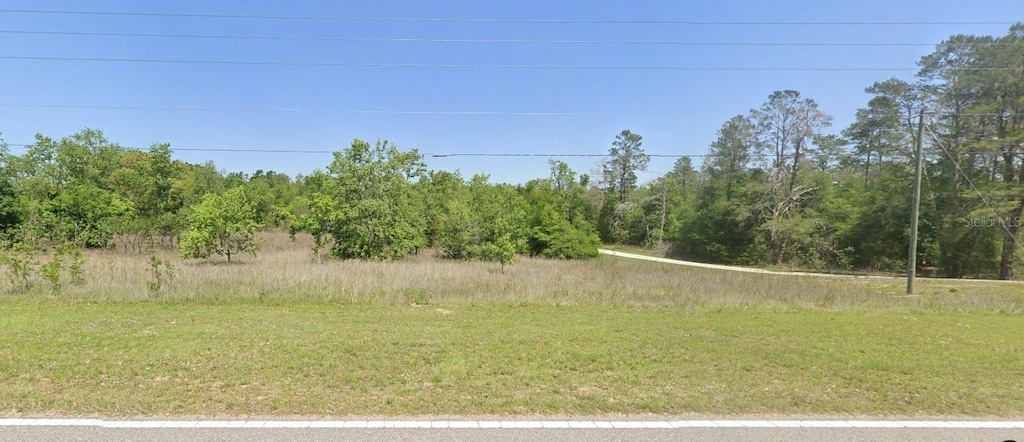 0 Poe Country Ln, Brooksville, FL 34602 - photo 3