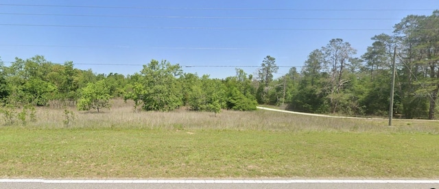 0 Poe Country Ln, Brooksville, FL 34602 - photo 3