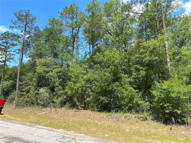 1571 W Alexander Dr, Citrus Springs, FL 34434