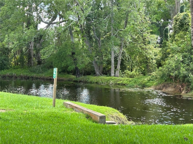 water view with a heavily wooded area