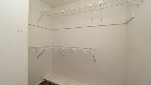 7501 Woodbox Row, Hudson, FL 34667 - photo 19