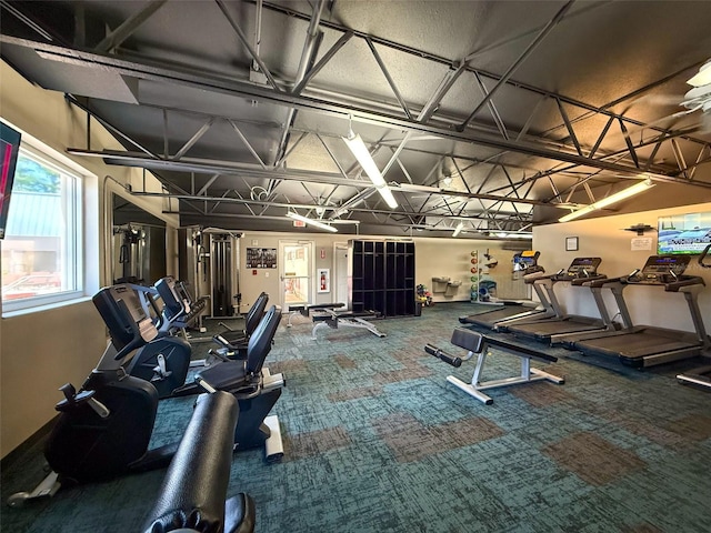 11821 Boynton Ln, New Port Richey, FL 34654 - exercise room featuring carpet flooring