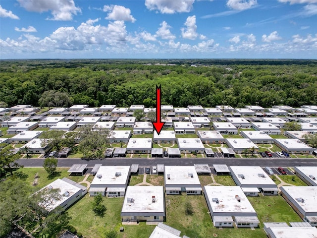 11821 Boynton Ln, New Port Richey, FL 34654 - bird's eye view of a forest