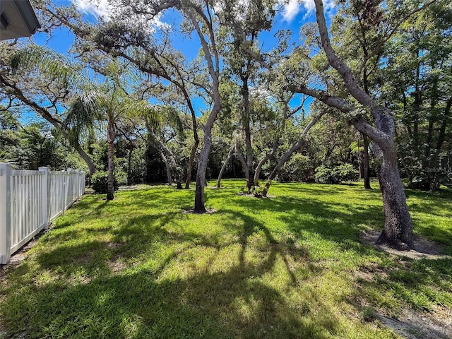 13627 Glaze Brook Dr, Hudson, FL 34667 - view of yard