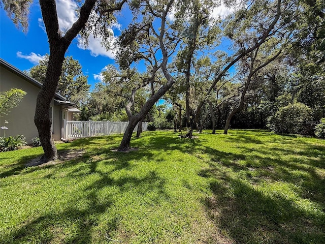 13627 Glaze Brook Dr, Hudson, FL 34667 - view of yard