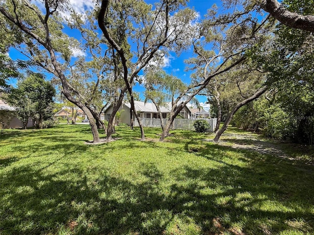 13627 Glaze Brook Dr, Hudson, FL 34667 - view of yard