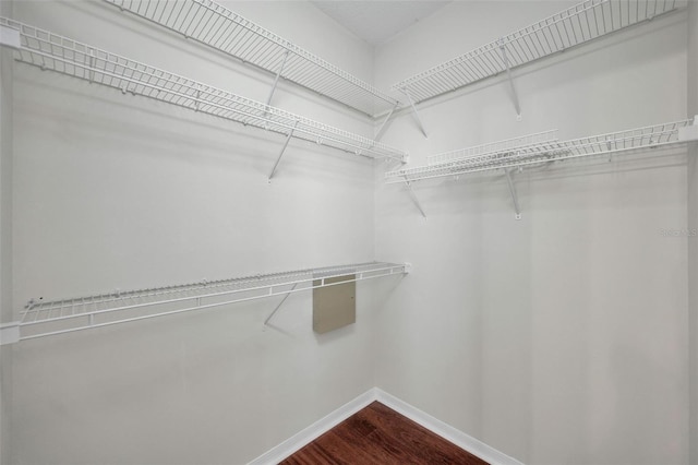 10344 Tecoma Dr, Trinity, FL 34655 - walk in closet featuring dark wood finished floors