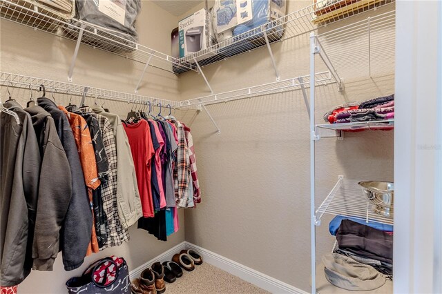 3546 Flamingo Blvd, Hernando Beach, FL 34607 - view of walk in closet