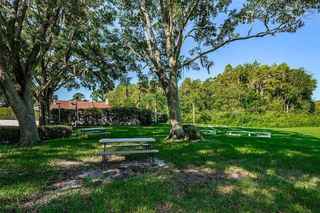 7807 Hardwick Dr Unit 123, New Port Richey, FL 34653 - photo 48