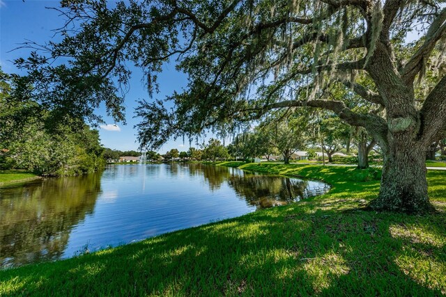 7807 Hardwick Dr Unit 123, New Port Richey, FL 34653 - photo 53