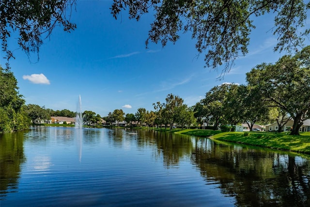 7807 Hardwick Dr Unit 123, New Port Richey, FL 34653 - photo 54