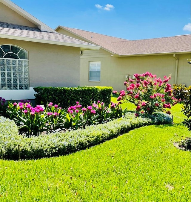 view of side of property featuring stucco siding and a lawn