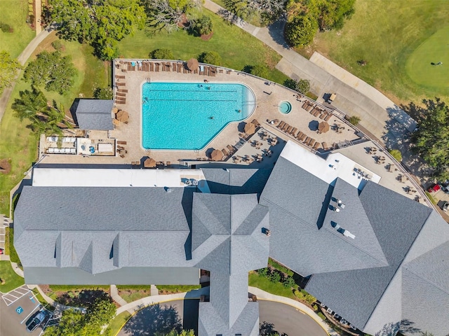 bird's eye view of a pool