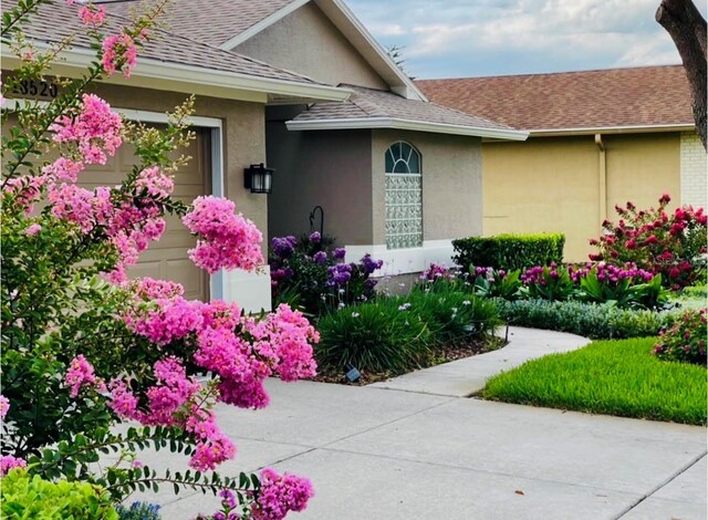 18520 Hidden Pines Way, Hudson, FL 34667 - entrance to property featuring a shingled roof and stucco siding