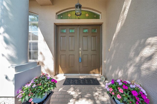 18520 Hidden Pines Way, Hudson, FL 34667 - doorway to property with stucco siding