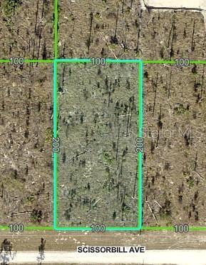Scissorbill Ave, Brooksville, FL 34614 - photo 2