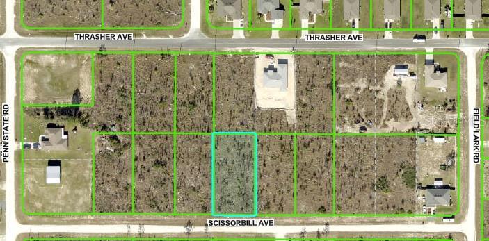 Scissorbill Ave, Brooksville, FL 34614 - photo 1