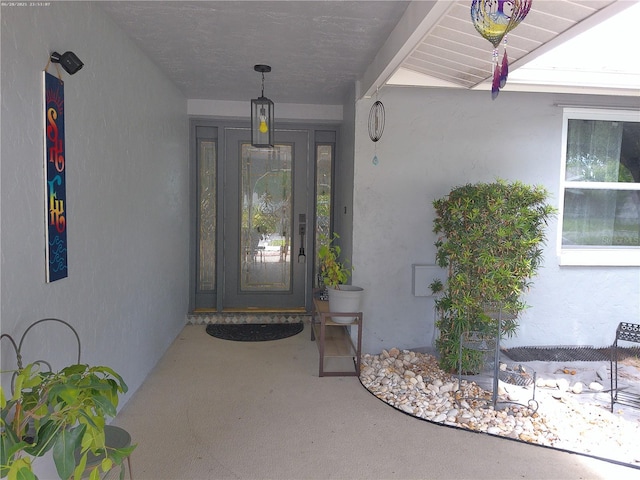 3207 Jarvis St, Holiday, FL 34690 - entrance to property featuring stucco siding