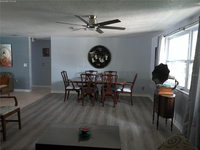 3207 Jarvis St, Holiday, FL 34690 - photo 5