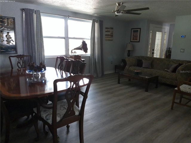 3207 Jarvis St, Holiday, FL 34690 - photo 7