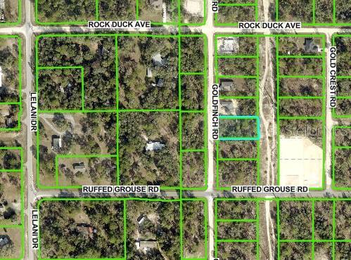 Goldfinch Rd, Brooksville, FL 34614 - photo 1