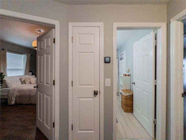 12408 Country White Cir, Tampa, FL 33635 - hallway featuring wood finished floors