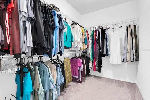 12854 Rangeland Blvd, Odessa, FL 33556 - spacious closet with carpet flooring