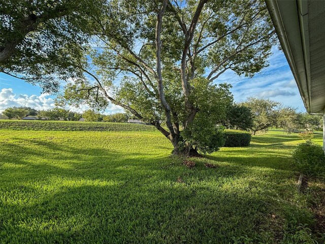 11141 Sandtrap Dr Unit 11141, Port Richey, FL 34668 - photo 33