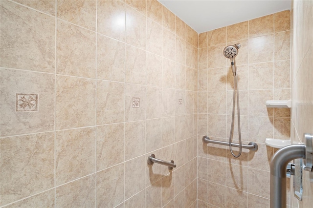 12071 Wexford Blvd, Spring Hill, FL 34609 - bathroom view of tiled shower
