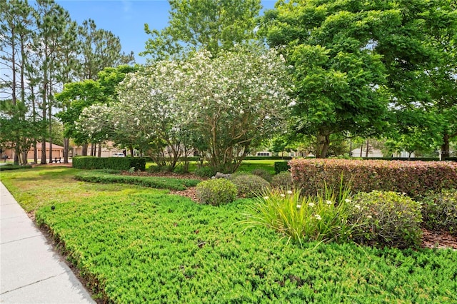 12071 Wexford Blvd, Spring Hill, FL 34609 - view of property's community