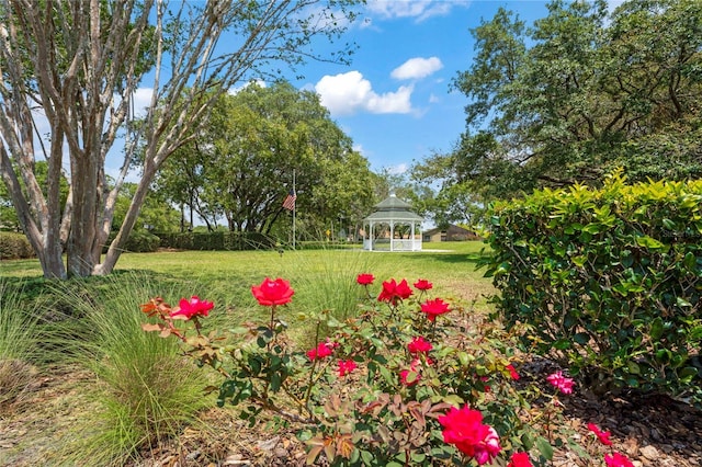 12071 Wexford Blvd, Spring Hill, FL 34609 - view of grassy yard featuring a gazebo
